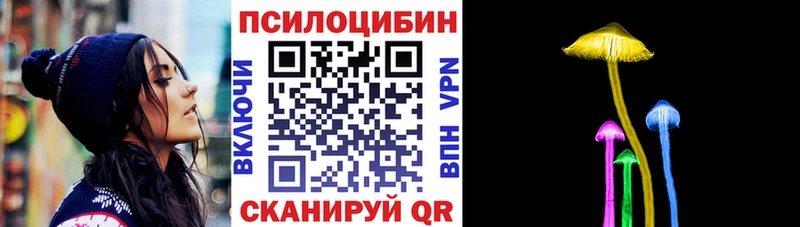 blacksprut как войти  Комсомольск-на-Амуре  Галлюциногенные грибы GOLDEN TEACHER  где продают  